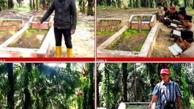 Demi Dapatkan Sertifikasi ISPO/RSPO Regulasi Kelapa Sawit Berkelanjutan, PT DAS Tabrak Aturan